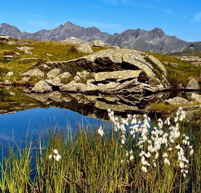 Evento Cima Montone 2483 m – Val Pusteria Locandina Cima Montone 2483 m – Val Pusteria - giovedì 25 giugno ore 09:00 - 11:00
