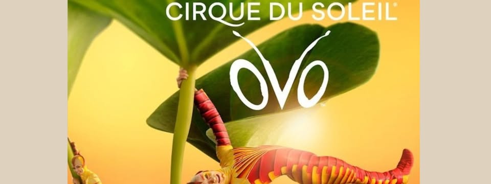Cirque du Soleil in OVO – da € 170,00 per persona Potrebbe essere un'immagine raffigurante il seguente testo "CIRQUE DU SOLEIL ον"