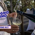 Codogno In Vino a Codogno (LO) il 11 aprile 2026