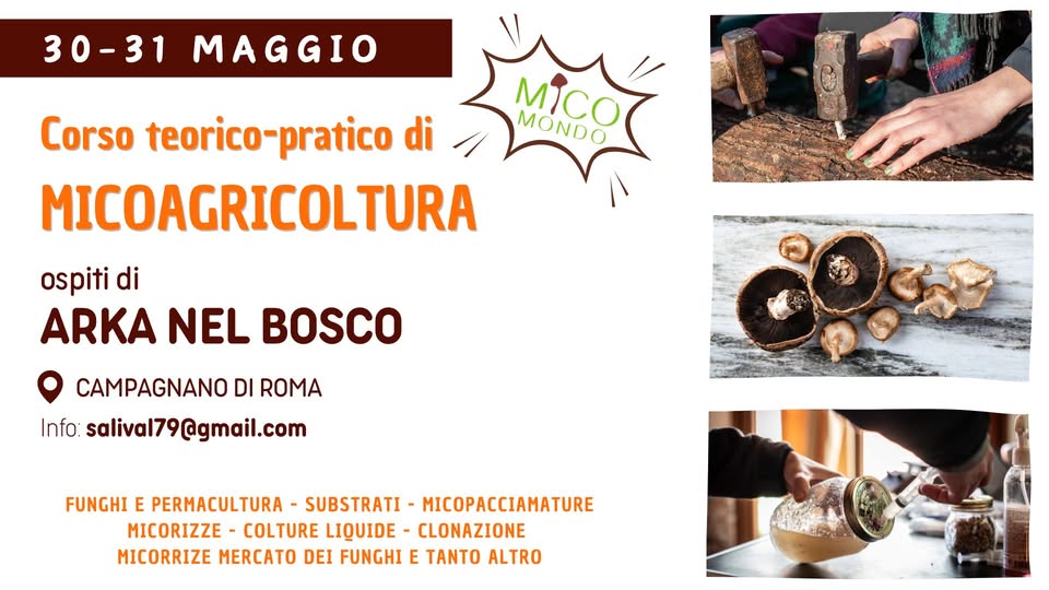 Corso base di Micoagricoltura – prov. ROMA Potrebbe essere un'immagine raffigurante il seguente testo "30-31 MAGGIO Corso teorico-pratico di MICOAGRICOLTURA MONDO ospiti di ARKA NEL BOSCO CAMPAGNANO DI ROMA Info: salival79@gmail.com salivalz 0ក FUNGHI E PERMACULTURA SUBSTRATI MICOPACCIAMATURE MICORIZZE COLTURE LIQUIDE CLONAZIONE MICORRIZE MERCATO DEI FUNGHI E TANTO ALTRO"