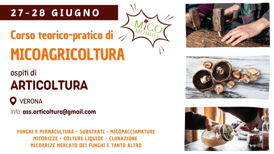 Evento Corso base di Micoagricoltura – VERONA Locandina Corso base di Micoagricoltura – VERONA - da sabato 27 giugno - domenica 28 giugno 2026 ore 09:00 ore 17:00