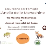 Escursione Per Famiglie: L’Anello delle Monachine – tra Macchia Mediterranea e Animali (non solo) de Escursione Per Famiglie L’Anello delle Monachine – tra Macchia Mediterranea e Animali (non solo) de a Livorno (LI) il 1 febbraio 2026