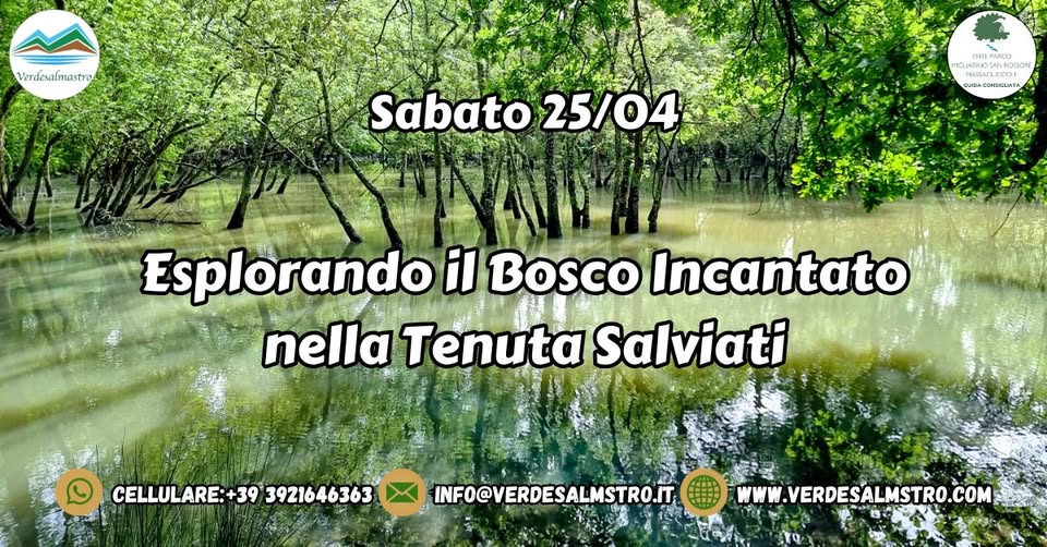 Esplorando il Bosco Incantato nella Tenuta Salviati Potrebbe essere un'immagine raffigurante il seguente testo "Verdesalmastro almastro نانه IIEO m и ARDSANO AMOSANI Sabato25/04 Sabato 25/04 coHaauиTR Esplorando اi Bosco Incantato nella Tenuta Salviati L CELLULARE:+39 3921646363 INFO@VERDESALMSTRO.IT, ® WWW WWW.VERDESALMSTRO.COM .com"