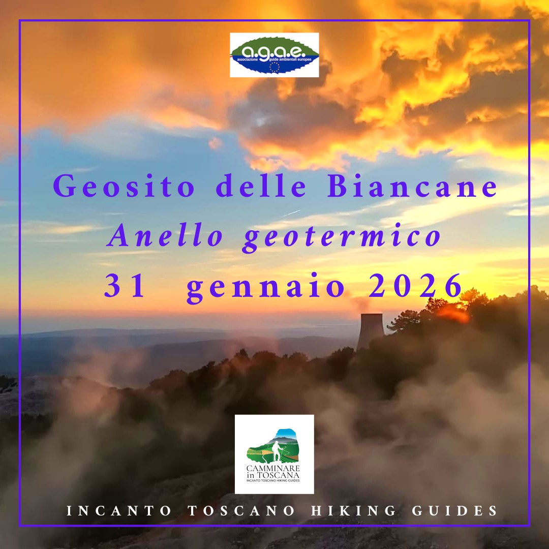 Evento Geosito delle Biancane, anello geotermico alle colline metallifere Locandina Geosito delle Biancane, anello geotermico alle colline metallifere - sabato 31 gennaio ore 09:45 - 17:30