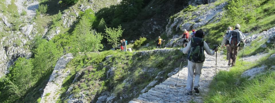 Evento GT La Via Vandelli (MO) Locandina GT La Via Vandelli (MO) - da lunedì 3 agosto - giovedì 6 agosto 2026 ore 07:30 ore 10:30