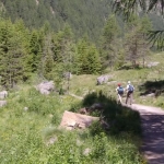 GT Trek e Yoga nelle splendide Val di Rabbi e Val di Sole (TN) Nessuna descrizione della foto disponibile.