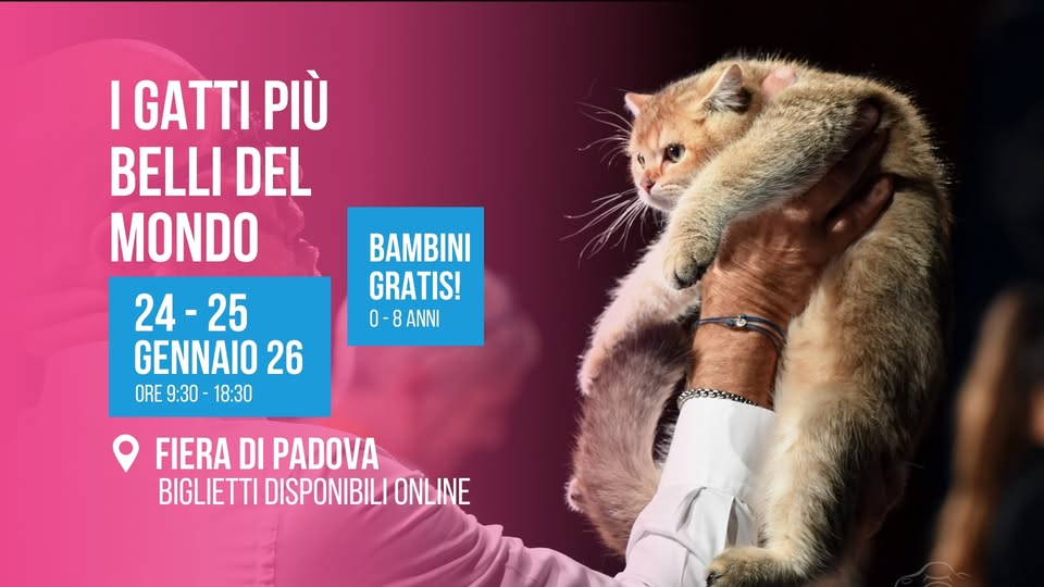 I Gatti più belli del Mondo Expo | Padova Fiere Potrebbe essere un'immagine raffigurante lori lento e il seguente testo "I GATTI PIÙ BELLI DEL MONDO 24- 25 GENNAIO 26 ORE 9:30- 18:30 BAMBINI GRATIS! 0- 0-8ANNI ANNI FIERA DI PADOVA BIGLIETTI DISPONIBILI ONLINE"