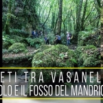 I Segreti Tra Vasanello, il Palazzolo e il Fosso del Mandrione I Segreti Tra Vasanello, il Palazzolo e il Fosso del Mandrione a Vasanello (VT) il 18 ottobre 2026