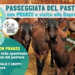 Le Caprette del Pastore: Trekking con Pranzo! Le Caprette del Pastore Trekking con Pranzo! a Massa (MS) il 19 luglio 2026