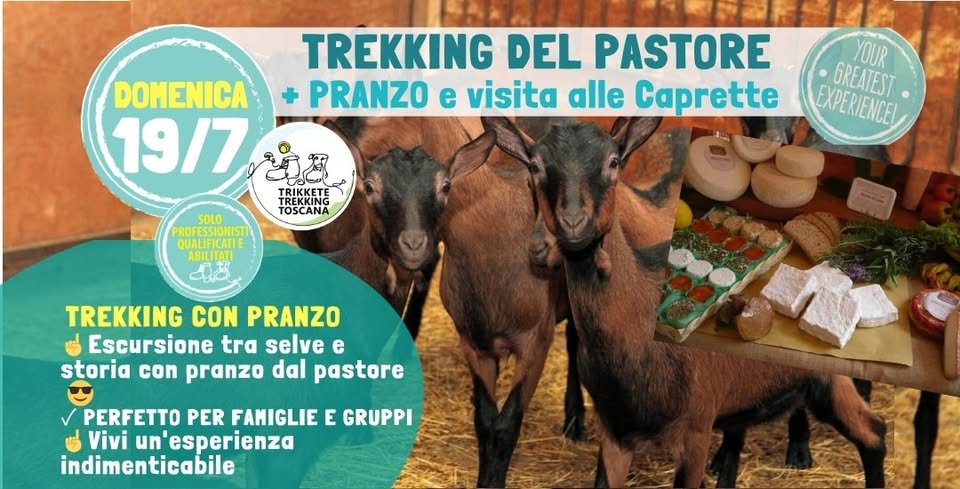 Le Caprette del Pastore: Trekking + Pranzo + Bagno! Potrebbe essere un'immagine raffigurante il seguente testo "TREKKING + PRANZO+ BAGNO in torrente YOUR domenica LE CAPRETTE DEL PASTORE EXPERIENCE EXPERIENCEL GREATEST 19/7 TREKKING TRIKKETE TREKAIA TOSCANA SOLO PROFESSIONISTI QUALIFICATIE ABILITATI 0 TREKKING CON PRANZO Un percorso trekking, pranzo dal pastore e bagno finale PERFETTO PER FAMIGLIE E GRUPPI Vivi un'esperienza indimenticabile"