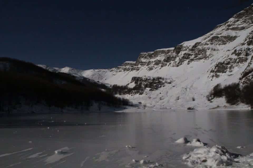 Potrebbe essere un'immagine raffigurante artico