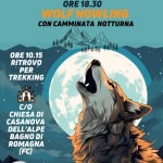 LUPUS IN FABULA – WOLF HOWLING ALLA VALDORA – PARCO FORESTE CASENTINESI Lupus In Fabula – Wolf Howling Alla Valdora – Parco Foreste Casentinesi a Bagno di Romagna (FC) il 4 gennaio 2026