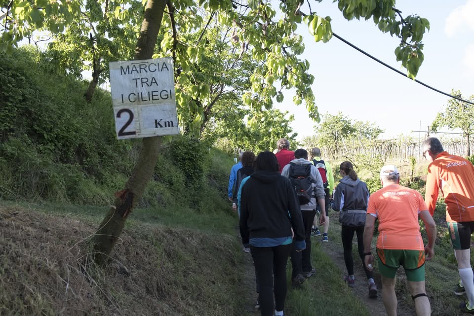 MARCIA TRA I CILIEGI 2026 Potrebbe essere un'immagine raffigurante una o più persone, albero, strada, erba e testo