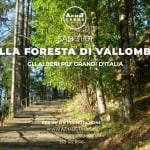 Nella Foresta di Vallombrosa Potrebbe essere un'immagine raffigurante il seguente testo "AZIMUT TREKS SAB SAB31/01 31/01 NELLA FORESTA DI VALLOMBROSA GLI ALBEREPIU PIU' GRANDI D'ITALIA PER INFO PERINFOEPRENOTAZIONI E E PRENOTAZIONI: PRENO WWW.AZIMUT-TREKS.IT: www. barbaigaliomaorzio@gnai.com com ltomaGrizio@gm 3391028516 339 102 8516"