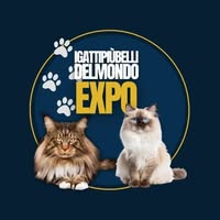 Foto di I gatti più belli del mondo EXPO
