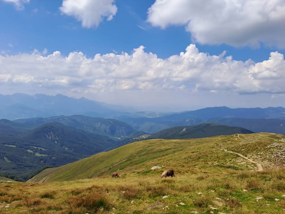Evento Parco dell’Orecchiella I monti che abbracciano il cielo Locandina Parco dell’Orecchiella I monti che abbracciano il cielo - da giovedì 20 agosto - domenica 23 agosto 2026 ore 10:00 ore 16:00