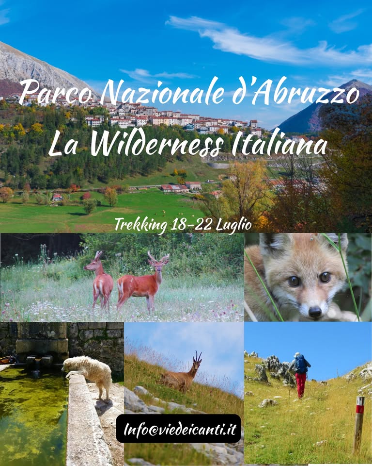 Evento Parco Nazionale d’Abruzzo La Wilderness italiana Locandina Parco Nazionale d’Abruzzo La Wilderness italiana - da sabato 18 luglio - mercoledì 22 luglio 2026 ore 10:00 ore 16:00