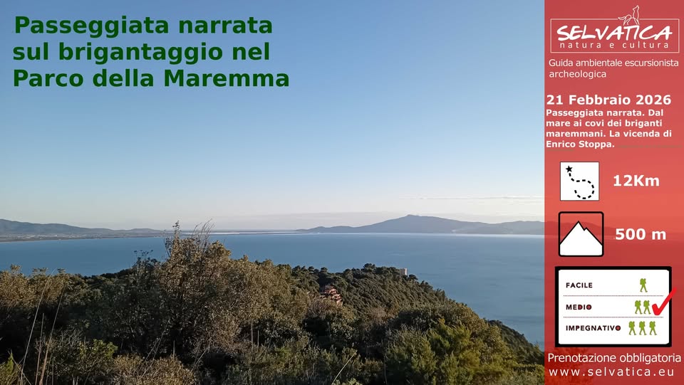 Poetici malfattori. Passeggiata sul mare narrata, tra storie ed efferatezze dei briganti Toscani.. Potrebbe essere un'immagine raffigurante il seguente testo "Passeggiata narrata sul brigantaggio nel Parco della Maremma SELVATICA natura cultura Guida ambientale escursionista archeologica 21 Febbraio 2026 Passeggiata arrata. Dal mare covi dei briganti maremmani.L La vicenda di Enrico Stoppa. 12Km 500 m FACILE MEDIO X XXC λλν IMPEGNATIVO 天天大 Prenotazione Prenotazioneobbligatoria obbligatoria w ww. w.selvatica.eu"