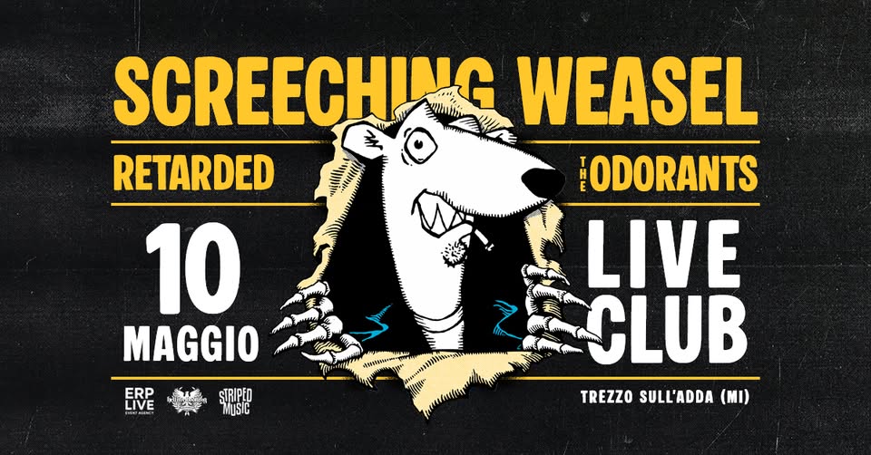 Potrebbe essere un contenuto grafico raffigurante il seguente testo "SCREECHINGWEASEL WEASEL SCREECHING WEASEL 10.05.2026 LIVECLUB LIVE CLUB TREZZO SULL'ADDA hellfirebooking.com instagram.com/hellfire. he booking ERP LIVE SIRPH MISD"