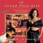 SUGAR PUSH NITE – EPIPHANY EDITION – 13 th yr Sugar Push Nite – Epiphany Edition – 13 Th Yr a Torino (TO) il 6 gennaio 2026