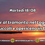 Tour al tramonto nel Lago di Massaciuccoli e apericena in battello Tour al tramonto nel Lago di Massaciuccoli e apericena in battello a Pisa (PI) il 18 agosto 2026
