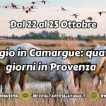Viaggio in Camargue: quattro giorni in Provenza Viaggio in Camargue quattro giorni in Provenza a Pietrasanta (LU) il 22 ottobre - 25 ottobre 2026