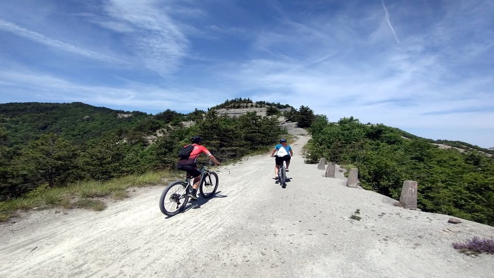 Evento BidentExpress Tour in E – Bike da Ridracoli Locandina BidentExpress Tour in E – Bike da Ridracoli - da domenica 29 marzo - domenica 18 ottobre 2026 ore 10:00 ore 16:00