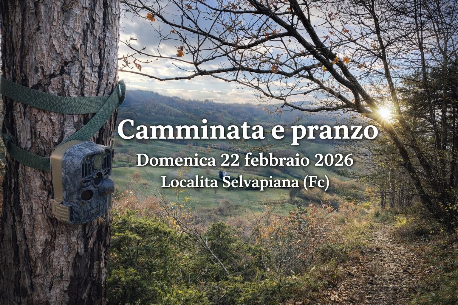Camminata e pranzo da Pirino Potrebbe essere un'immagine raffigurante albero e il seguente testo "て N AW Camminata e pranzo Domenica 22 febbraio 2026 Localita Selvapiana (Fc)"