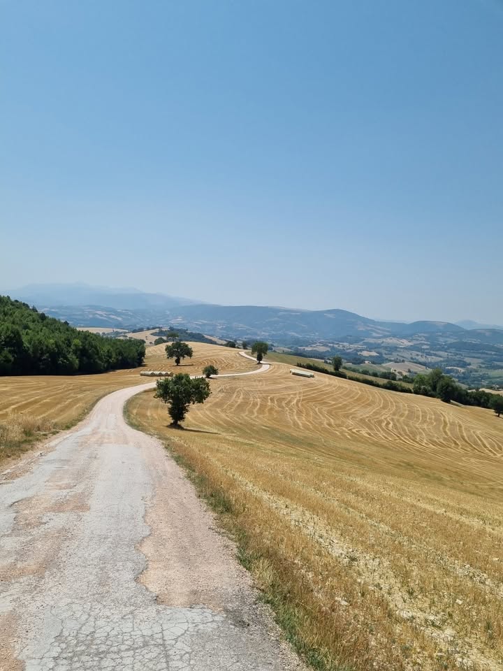 Evento Cammino Dei Forti – A Piedi Nel Cuore Delle Marche Locandina Cammino Dei Forti – A Piedi Nel Cuore Delle Marche - da mercoledì 29 aprile - domenica 3 maggio 2026 ore 08:00 ore 22:00