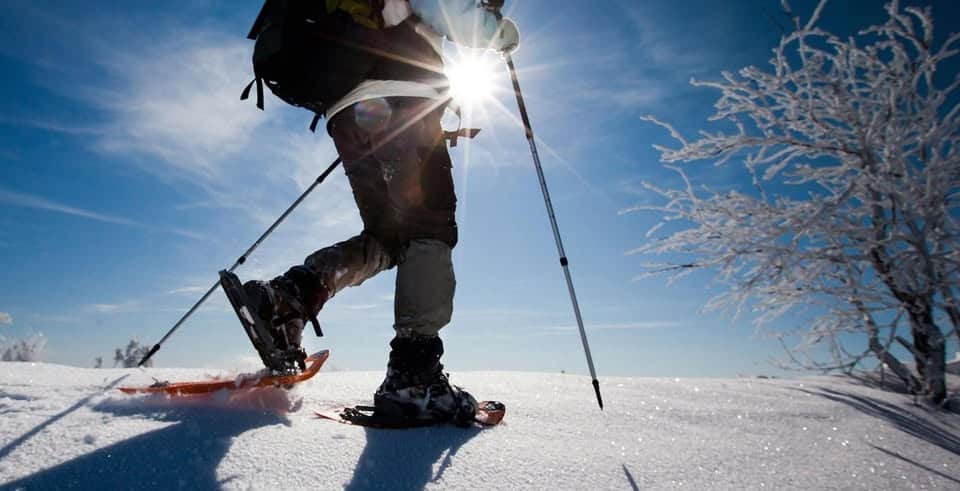 CIASPOLANDO NELLA MAGIA DELL’INVERNO Potrebbe essere un'immagine raffigurante pista da sci