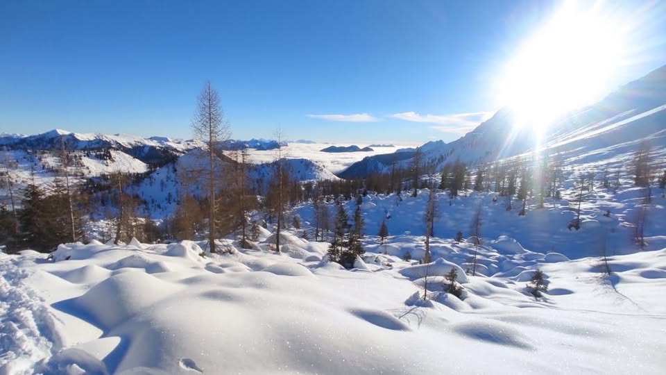 Evento Ciaspolata sull’ombelico del Comelico Rifugio De Dòo e Monte Zovo Locandina Ciaspolata sull’ombelico del Comelico Rifugio De Dòo e Monte Zovo - domenica 8 marzo ore 09:30 - 11:30