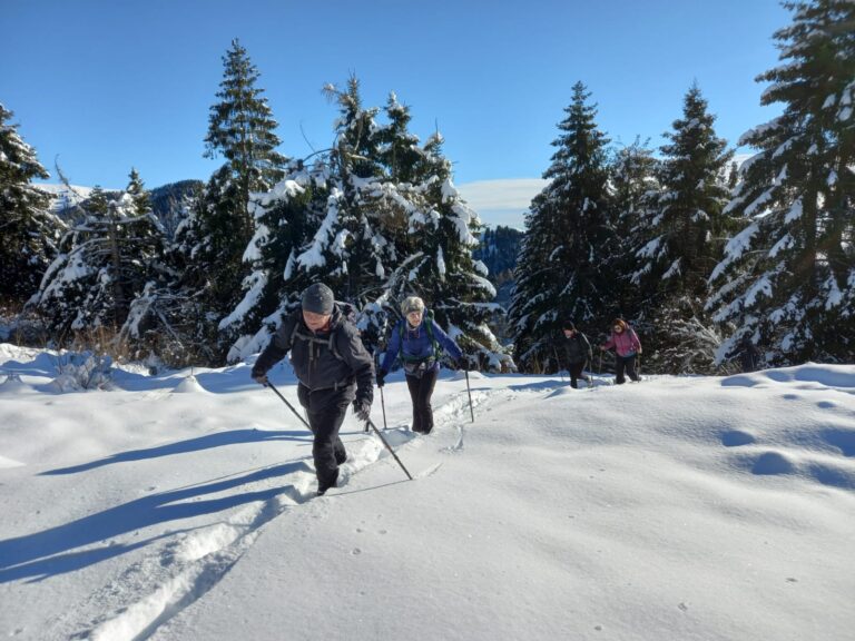 Ciaspolata tra le casere dell’Alpago Potrebbe essere un'immagine raffigurante pista da sci