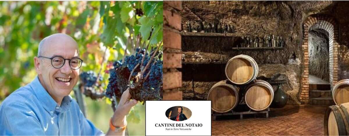 Evento Degustazione e cena con CANTINE del NOTAIO Locandina Degustazione e cena con CANTINE del NOTAIO - venerdì 20 febbraio ore 20:00 - 22:00