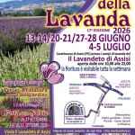 Festa Della Lavanda 13-14 20-21 27-28 giugno, 4-5 luglio 2026 Potrebbe essere un'immagine raffigurante lavanda selvatica e il seguente testo "Festa della Lavanda 17a EDIZIONE 2026 13-14/20-21/27-28 GIUGNO 4-5 LUGLIO Castelnuovo di Assisi (PG) presso campi di lavanda del Lavandeto di Assisi aperto dalle ore 10,00 alle 22,00 fioritura visitabile tutta la settimana SANTA MARIA ANGELI Vendita diretta spedizioni PERUGIA USCITA Santa Sud USCITA Santa Maria Angeli Sud Festadi edel giardino 25-26 1-2-3/9-10 Maggio 2026 Festa delle Salvie 26-27 SETTEMBRE 2026 Lavandeto di Assisi lavande, FOLIGNO CASTELNUOVO Vivaio Giardino Vivaio Mercatino Visite guidate Picnic Artigianato CANNARA lavanda, bomboniere, idee regalo Natale E-Shop Musica PROGETTAZIONE GIARDINI ONLINE Castelnuovodi Assisi 075.8043207-329.3332609 lavandeto@gmail.com Spedizioni www.illavandetodiassisi.it Negozi Assisi: Piazza Chiara 1/A -Tel. 6975031"