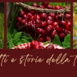Frutti e storie della terra | Camminata in natura Frutti e storie della terra Camminata in natura a Bologna (BO) il 31 maggio 2026