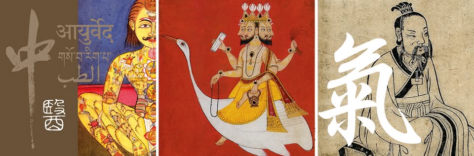 IL CANONE INTERNO E LA CONOSCENZA DELLA LONGEVITA’. Conferenza e visita alla sezione MTP. Potrebbe essere un disegno raffigurante elefante e il seguente testo "आयुर्वेद বার্ষামইনাম ናልህ 康"