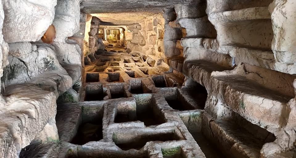 LA NATURA DI CAVA D’ISPICA Nessuna descrizione della foto disponibile.