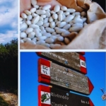 L’ANELLO DEI TRE CAMMINI e LA SAGRA DELLA FAGIOLINA con REBELTREK L’anello Dei Tre Cammini E La Sagra Della Fagiolina Con Rebeltrek a Arsoli (RM) il 30 agosto 2026