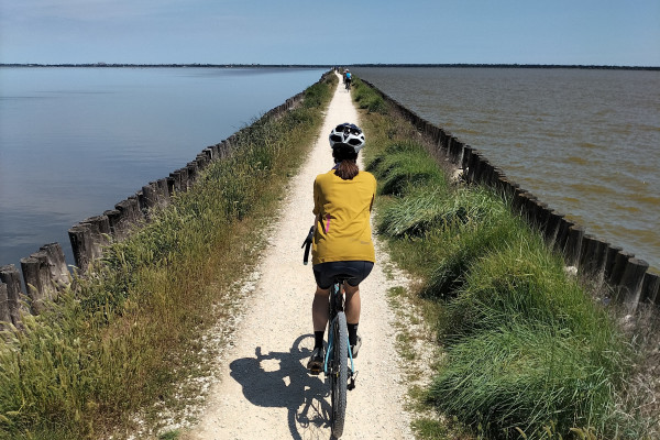 Evento L’argine degli Angeli in bicicletta Locandina L’argine degli Angeli in bicicletta - da domenica 1 marzo - sabato 24 ottobre 2026 ore 10:00 ore 15:00
