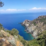 L’isola di Gorgona Nessuna descrizione della foto disponibile.