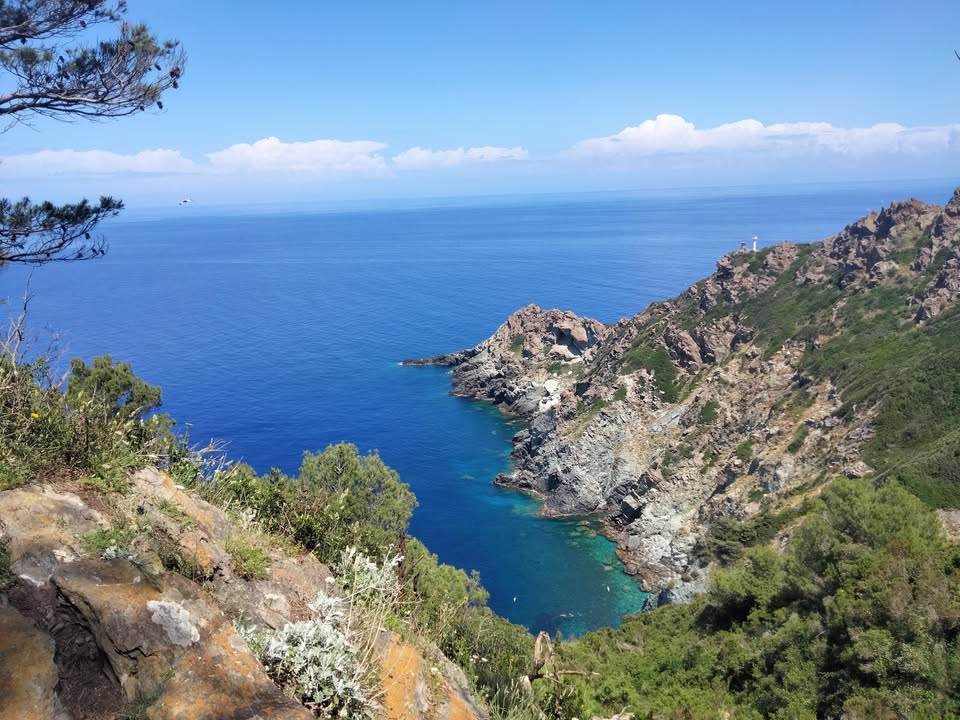 Evento L’isola di Gorgona Locandina L’isola di Gorgona - sabato 10 ottobre ore 08:15 - 16:30