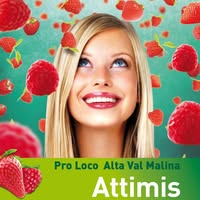 Foto di Pro Loco Attimis