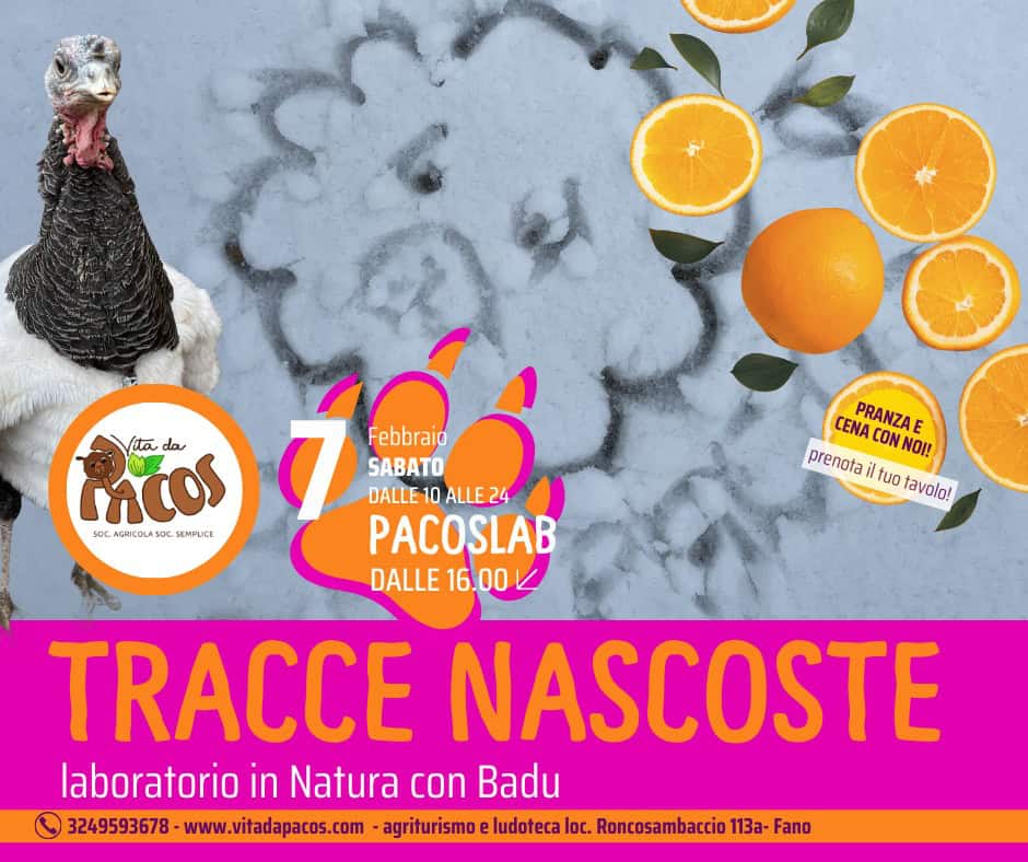 🌿 PACOS LAB – TRACCE NASCOSTE con Badu guida naturalistica Potrebbe essere un'immagine raffigurante il seguente testo "ta (iada da Mcos SOC.AGRCOLA.SOC.SOMPUCL SEMPLCE CENA CON PRANZA E prenota tuo favolo! NOI! Febbraio SABATO DALLE 10 ALLE ALLE24 24 PACOSLAB DALLE 16.00 TRACCE NASCOSTE laboratorio in Natura con Badu 3249593678 www.vitadapacos.com -agriturismoe ludoteca loc. Roncosambaccio 113a- Fano"