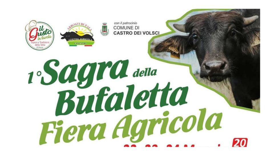 Sagra della Bufaletta. Castro dei Volsci (FR) Potrebbe essere un'immagine raffigurante testo
