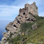 TREKKING E BAGNO A GORGONA Trekking E Bagno A Gorgona a Livorno (LI) il 12 luglio luglio - 6 settembre 2026