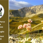 Trekking: Parco Nazionale del Gran Sasso Trekking Parco Nazionale del Gran Sasso a Prati di Tivo (TE) il 17 luglio - 19 luglio 2026