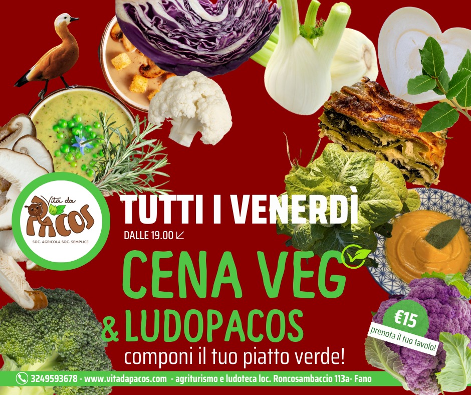 🌿 TUTTI I VENERDI – CENA VEG & LUDOPACOS 🌿 Potrebbe essere un'immagine raffigurante il seguente testo "MCOs Vitada lita da SOc. AGRICOLA SOC.AGRICOLASOC.SEMPUICE soc. SEMPLICE TUTTI I VENERDI DALLE 19.00 CENA VEG & LUDOPACOS componi il tuo piatto verde! 3249593678 593678-www.vitadapacos.com agriturismo e ludoteca loc. Roncosambaccio 113a- Fano"