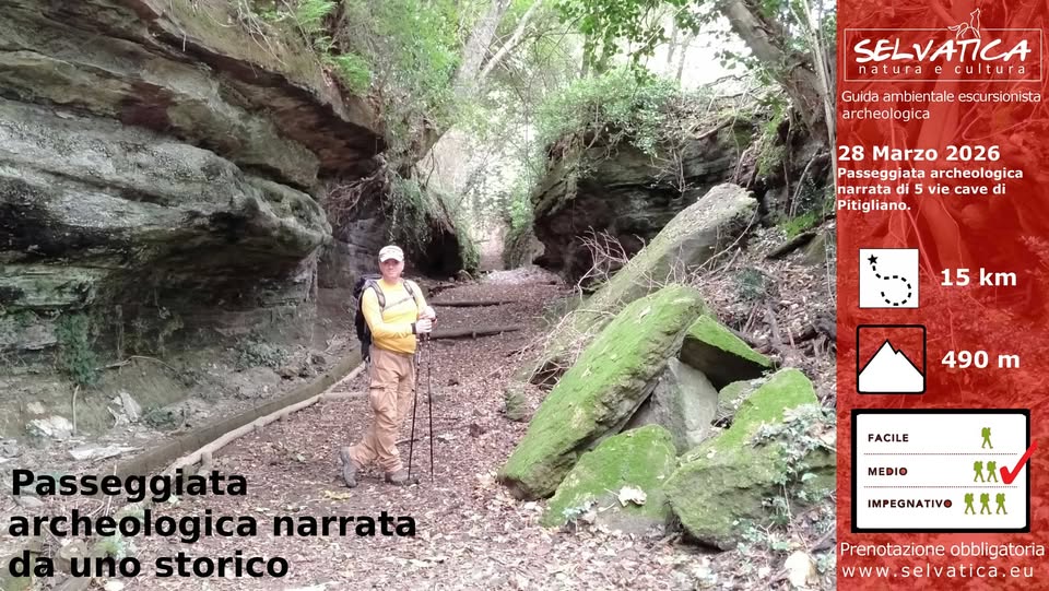 Potrebbe essere un'immagine raffigurante il seguente testo "SELVATICA natura cultura cul Guida ambientale Guidaambientaleesaursionista escursionista archeologica ica 28 Marzo 2026 Passeggiata archeologica Ta i5 vie cave di Pitigliano. 15 15km km 490 m Passeggiata Passe archeologica logica narrata dauno storico FACILE MEDIO ለ X XX IMPEGNATIVO 天天大 Prenotazione Prenotazioneobbligatorila obbligatoria w www.selvatica.eu"