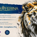 Anima Ferina con Michela Botti Potrebbe essere un'illustrazione raffigurante grande gatto e il seguente testo "ANIMA ANIMAFERINA FERINA Esplorare se stessi attraverso il linguaggio simbolico degli archetipi animali Weekend esperienziale introduzione al Metodo "Anima Ferina" PNI 17-18 Ottobre 2026 Conegliano (TV Mik Batt Aletheia di Maura Tomei TIAN"