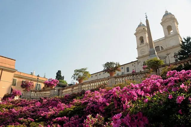 Apertura Tulipark 2026 🌷 Potrebbe essere un'immagine raffigurante fiore e natura